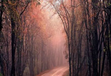 B国际体育：[足球之夜]国家队：迪拜集训一周后.