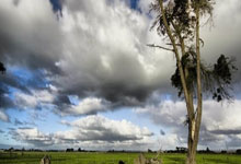 B国际体育：[CBA]常规赛3月19日：辽宁VS深圳.