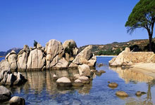 B国际体育：[冰雪]世界花样滑冰锦标赛 双人短节目.